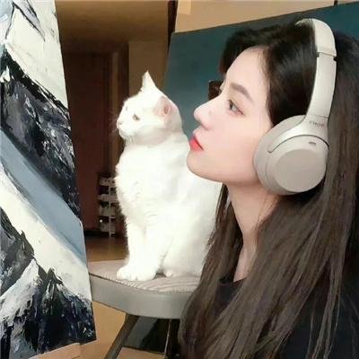 安乐传